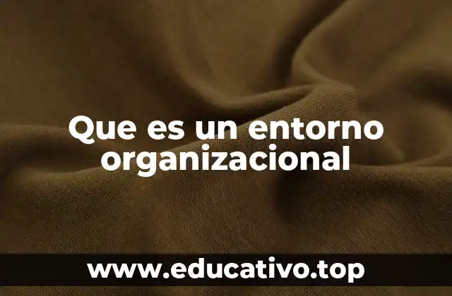 Que es un entorno organizacional