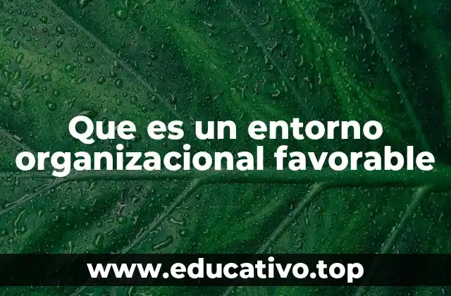 Que es un entorno organizacional favorable