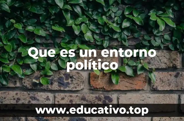 Que es un entorno político