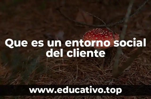 Que es un entorno social del cliente