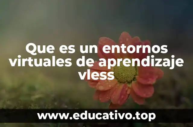 Que es un entornos virtuales de aprendizaje vless