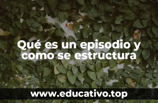 Qué es un episodio y como se estructura
