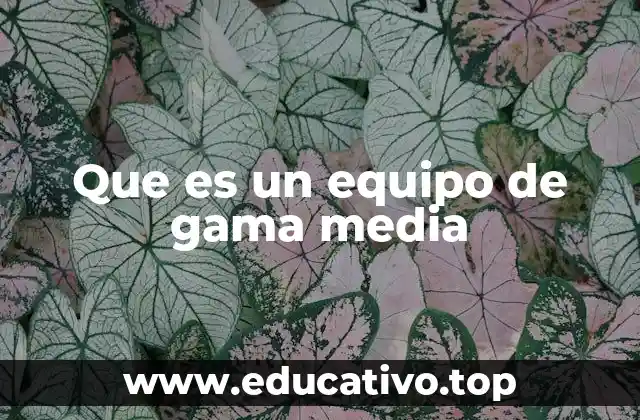 Que es un equipo de gama media