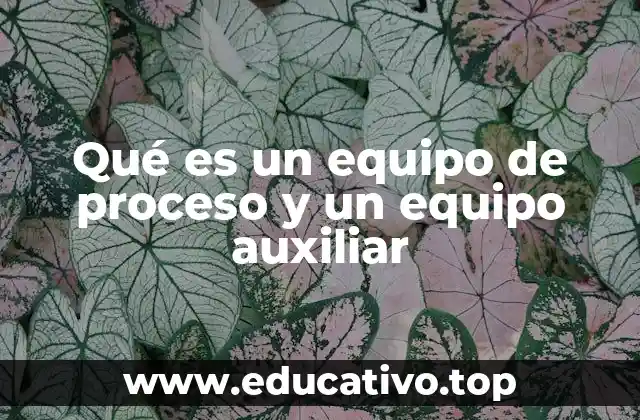 Qué es un equipo de proceso y un equipo auxiliar