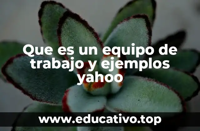 Que es un equipo de trabajo y ejemplos yahoo