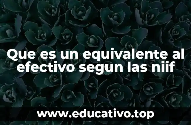 Que es un equivalente al efectivo segun las niif