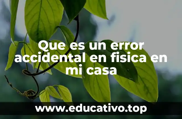 Que es un error accidental en fisica en mi casa