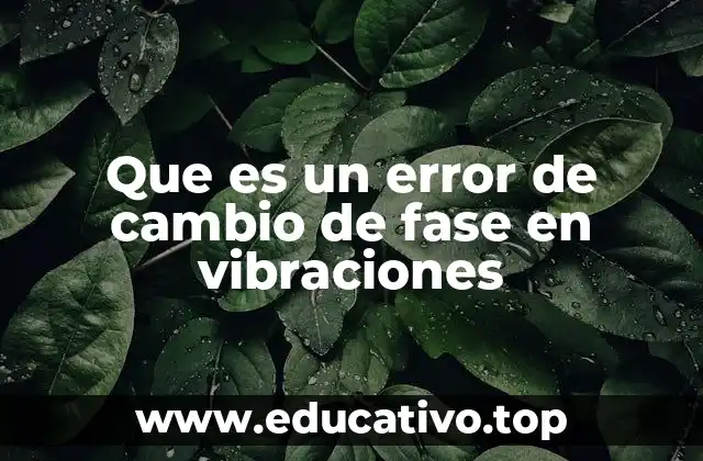 Que es un error de cambio de fase en vibraciones