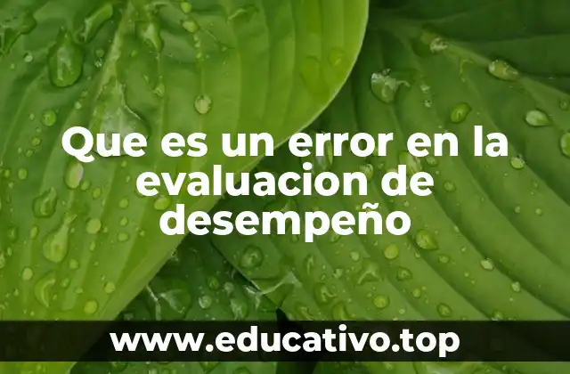 Que es un error en la evaluacion de desempeño