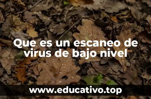 Cómo funciona un escaneo de virus de bajo nivel