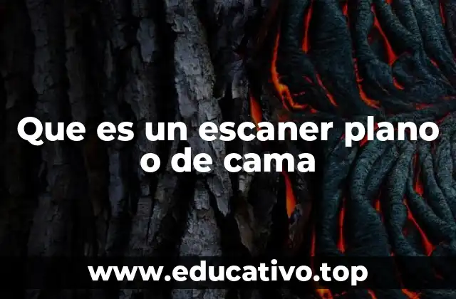 Que es un escaner plano o de cama