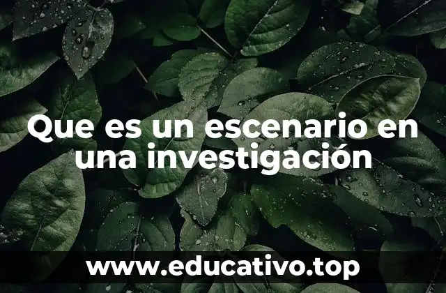 Que es un escenario en una investigación