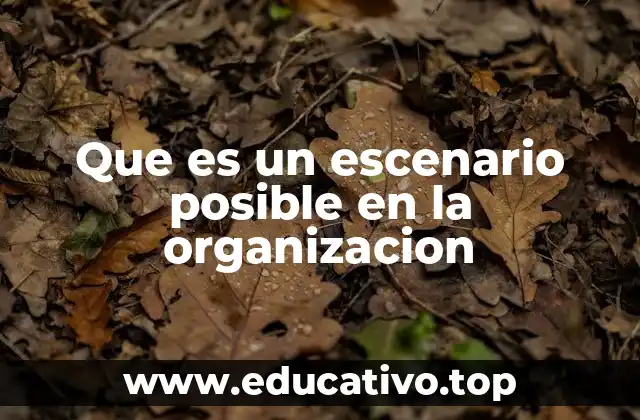 Que es un escenario posible en la organizacion