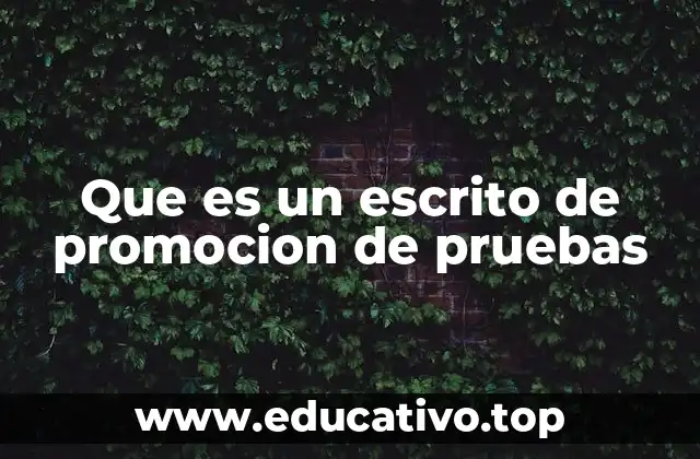 Que es un escrito de promocion de pruebas