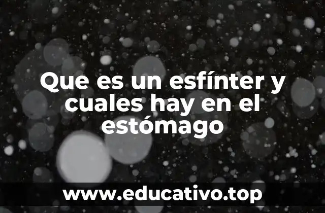 Que es un esfínter y cuales hay en el estómago
