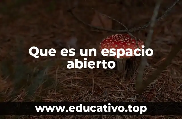 Que es un espacio abierto