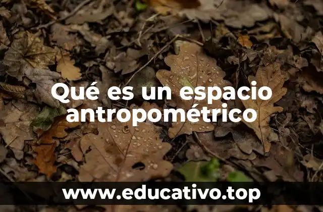 Qué es un espacio antropométrico