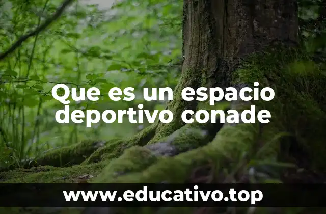 Que es un espacio deportivo conade