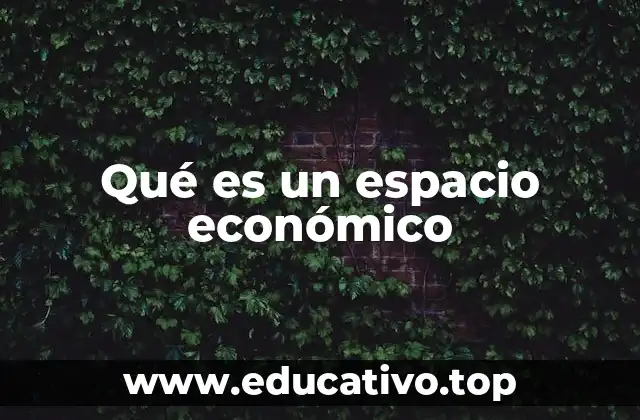 Qué es un espacio económico