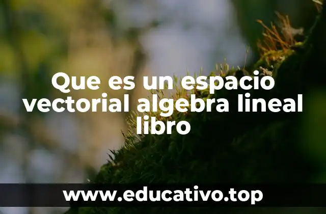 Que es un espacio vectorial algebra lineal libro