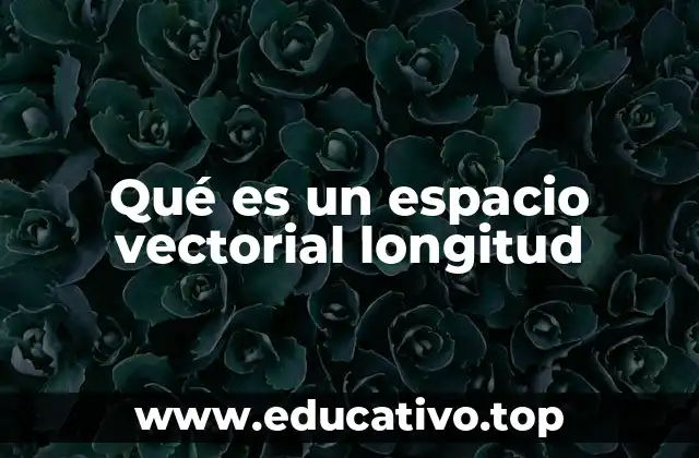 Qué es un espacio vectorial longitud