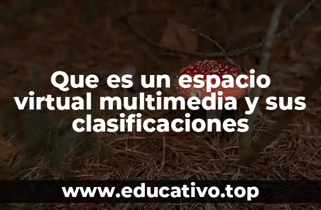 Que es un espacio virtual multimedia y sus clasificaciones