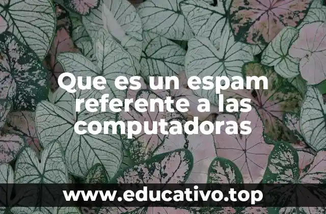 Que es un espam referente a las computadoras