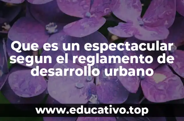 Que es un espectacular segun el reglamento de desarrollo urbano