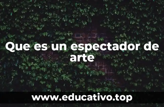 Que es un espectador de arte