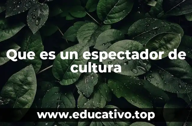 Que es un espectador de cultura