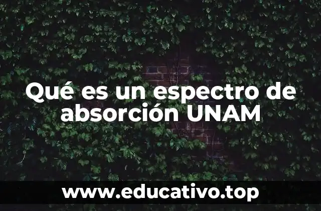 Qué es un espectro de absorción UNAM
