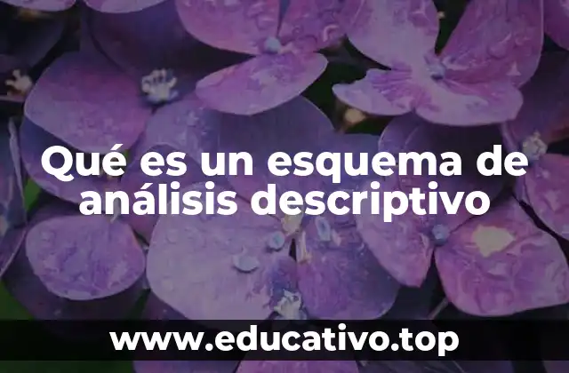 Qué es un esquema de análisis descriptivo