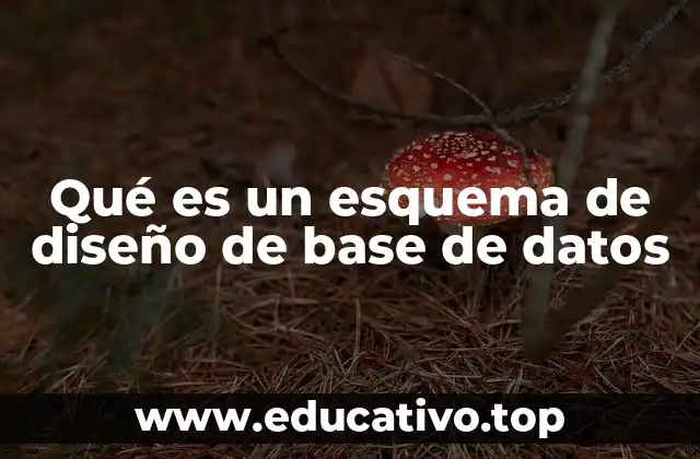 Qué es un esquema de diseño de base de datos
