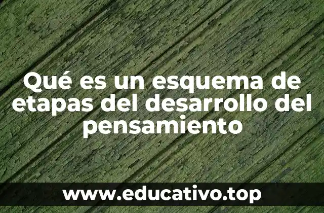 Qué es un esquema de etapas del desarrollo del pensamiento