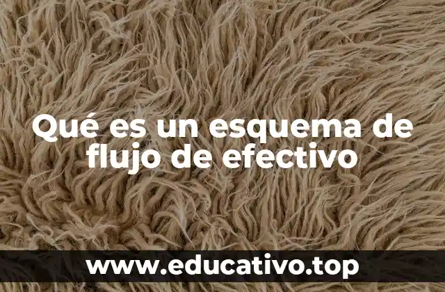 Qué es un esquema de flujo de efectivo