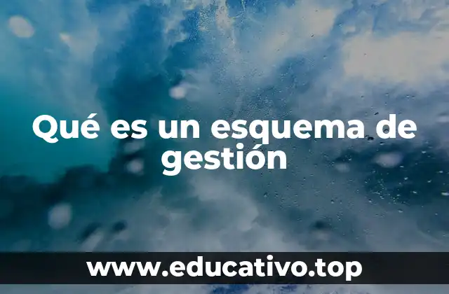 Qué es un esquema de gestión
