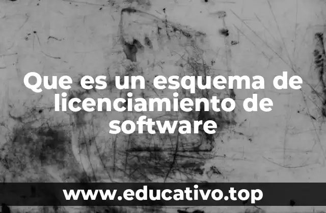 Que es un esquema de licenciamiento de software