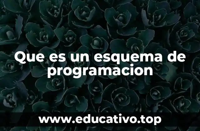 Que es un esquema de programacion