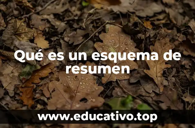 Qué es un esquema de resumen
