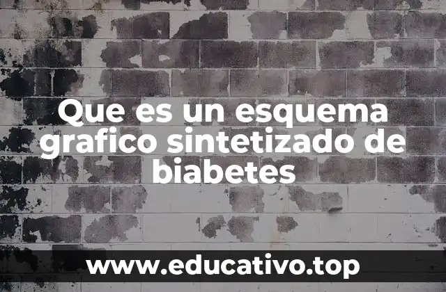 Que es un esquema grafico sintetizado de biabetes