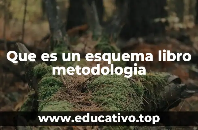 Que es un esquema libro metodologia