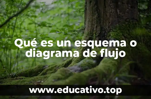 Qué es un esquema o diagrama de flujo