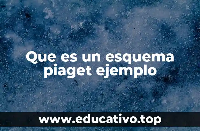 Que es un esquema piaget ejemplo