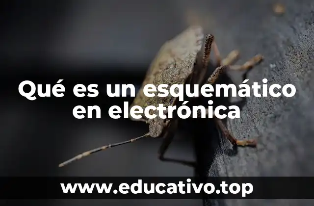 Qué es un esquemático en electrónica