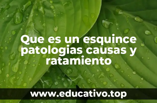 Que es un esquince patologias causas y ratamiento