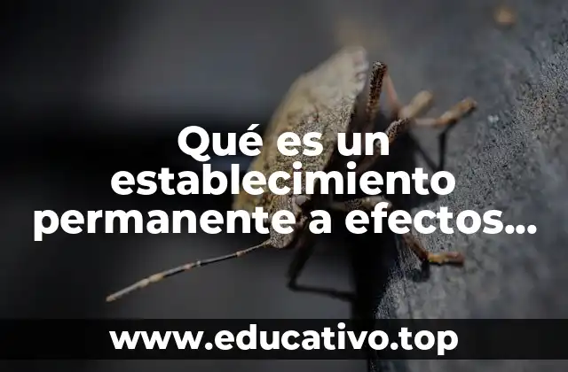 La relevancia del establecimiento permanente en el derecho fiscal internacional