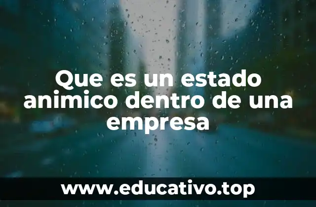 Que es un estado animico dentro de una empresa