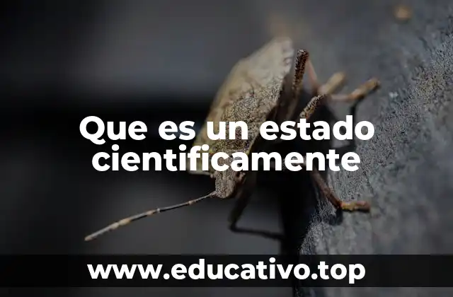 Que es un estado cientificamente
