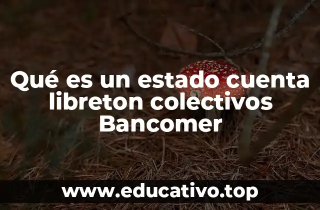 Qué es un estado cuenta libreton colectivos Bancomer