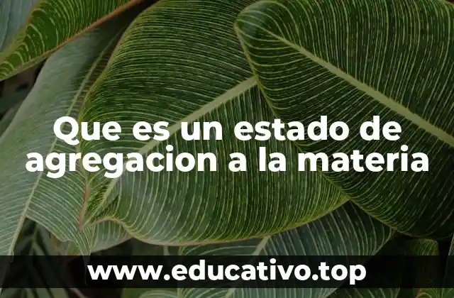 Que es un estado de agregacion a la materia